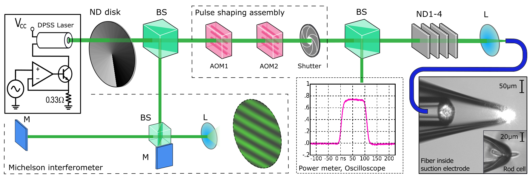 Population distribution of 3 Exciton Polariton BEC